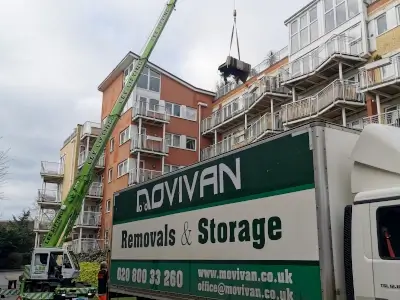 Specialist Removals