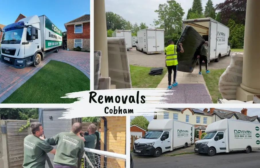 Cobham removals Movivan